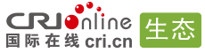 國際在線生態(tài)logo
