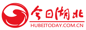 今日湖北logo