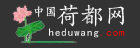 中國荷都網logo