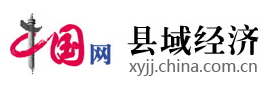 中國網縣域經濟首發logo