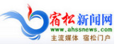 宿松新聞網logo