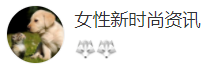 搜狐號（ 女性新時尚資訊）logo