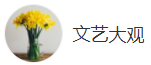 搜狐號（ 文藝大觀）logo