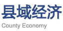 中國發(fā)展網縣域經濟logo