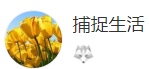 搜狐號（捕捉生活）logo