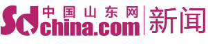 中國山東網評論logo