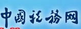 中國稅務網首發logo