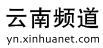 新華網云南logo