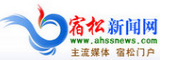 宿松新聞網健康logo