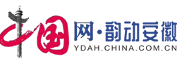 中國網安徽首發logo