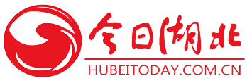 今日湖北首發logo