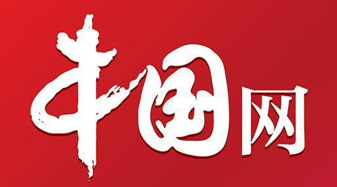 中國(guó)網(wǎng)大蘇（文檔）logo