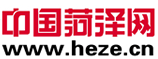 中國(guó)菏澤網(wǎng)logo