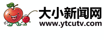 大小新聞logo