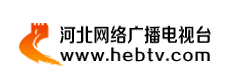 河北網(wǎng)絡(luò)廣播電視臺(tái)首發(fā)（本地）logo