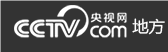 央視網廣西logo