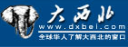大西北網logo